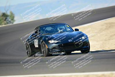 media/Mar-01-2025-Turn8 Trackdays (Sat) [[3bac13d0ad]]/Inter 3/Session 1 (Turns 2 and 3)/